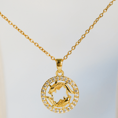 Dolphin Dazzle - Dainty Design