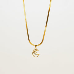 Dolphin Whisper - Dainty Design