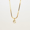 Dolphin Whisper - Dainty Design