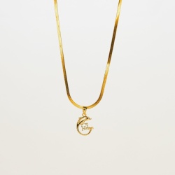 Dolphin Whisper - Dainty Design