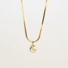 Dolphin Whisper - Dainty Design